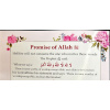 5010138 PROMISE OF ALLAH 68.00 1.00 68.00 pjs3mz