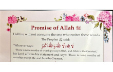 5010138 PROMISE OF ALLAH 68.00 1.00 68.00 pjs3mz