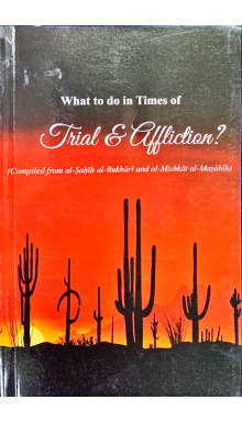 4010135 TRIAL AND AFFLICTION 130.00 3.00 390.00 wijuux